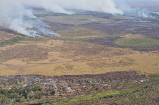 Corumb&aacute;-MS. Combate a crimes de inc&ecirc;ndio e desmatamento 