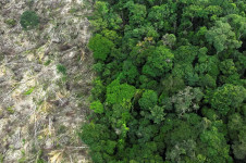 Vista a&eacute;rea mostra uma &aacute;rea desmatada durante uma opera&ccedil;&atilde;o de combate ao desmatamento perto de Uruara, estado do Par&aacute;  (arquivo)
