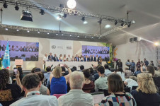 Representantes de pa&iacute;ses participantes formam bloco em apoio ao mapa do caminho para elimina&ccedil;&atilde;o dos f&oacute;sseis na COP30