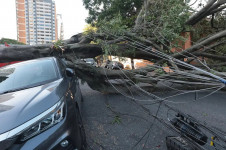 S&atilde;o Paulo &eacute; o retrato do caos ap&oacute;s temporal