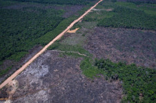 No Cerrado, os alertas totalizaram 1.905 km&sup2;, frente a 2.025 km&sup2;. Queda de 6%.