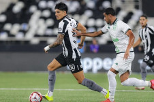 Na ter&ccedil;a-feira, o Fog&atilde;o visita o Barcelona-EQU pela &uacute;ltima etapa da chamada pr&eacute;-Libertadores