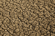 Dados recentes mostram que 18% do territ&oacute;rio brasileiro est&atilde;o em &aacute;reas suscet&iacute;veis &agrave; desertifica&ccedil;&atilde;o