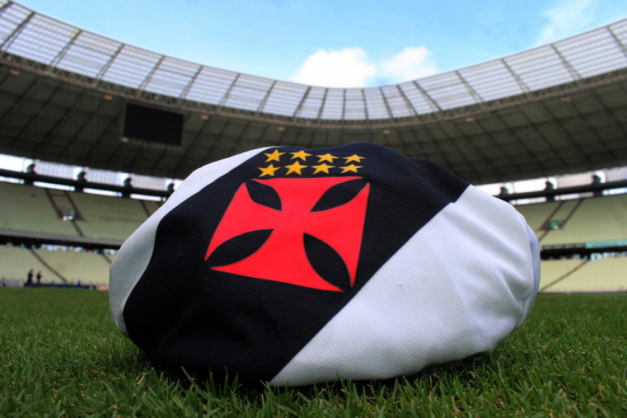 Macaque in the trees