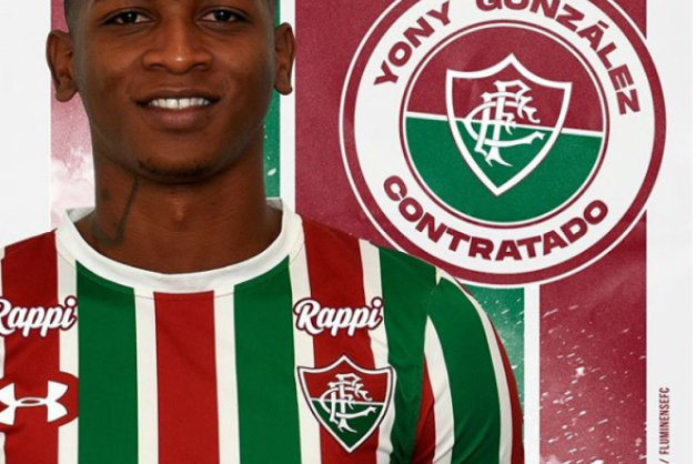 Macaque in the trees