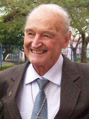 Macaque in the trees