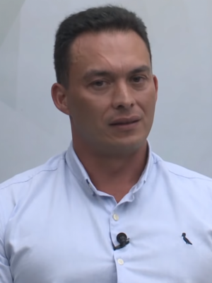 Macaque in the trees