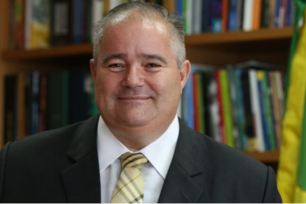 Macaque in the trees